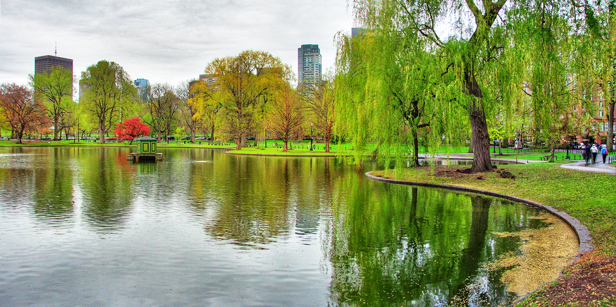 Boston_Public_Gardens